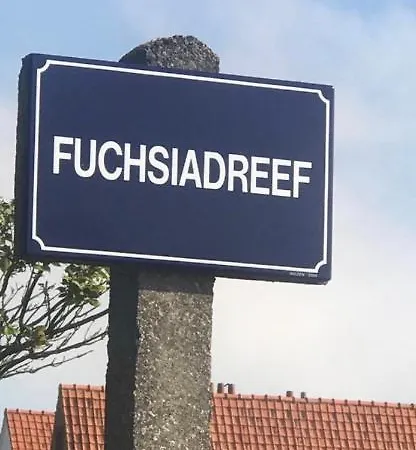 Met Binnen Zwembad, Omheinde Tuin. Privé! Knokke-Heist